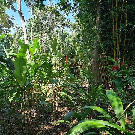 El Jardin De Playa Negra Villa Puerto Viejo de Talamanca Eksteriør bilde