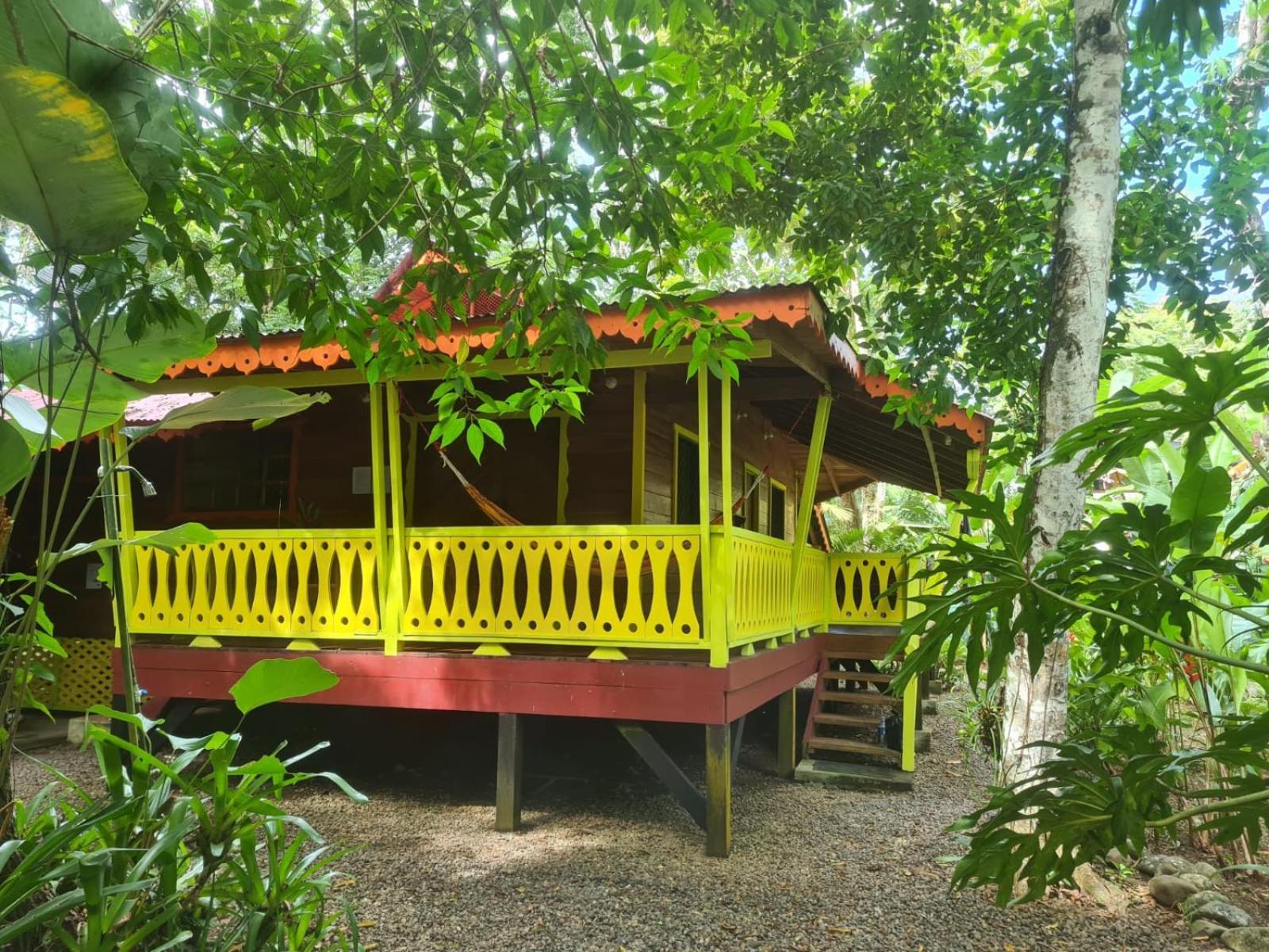 El Jardin De Playa Negra Villa Puerto Viejo de Talamanca Eksteriør bilde