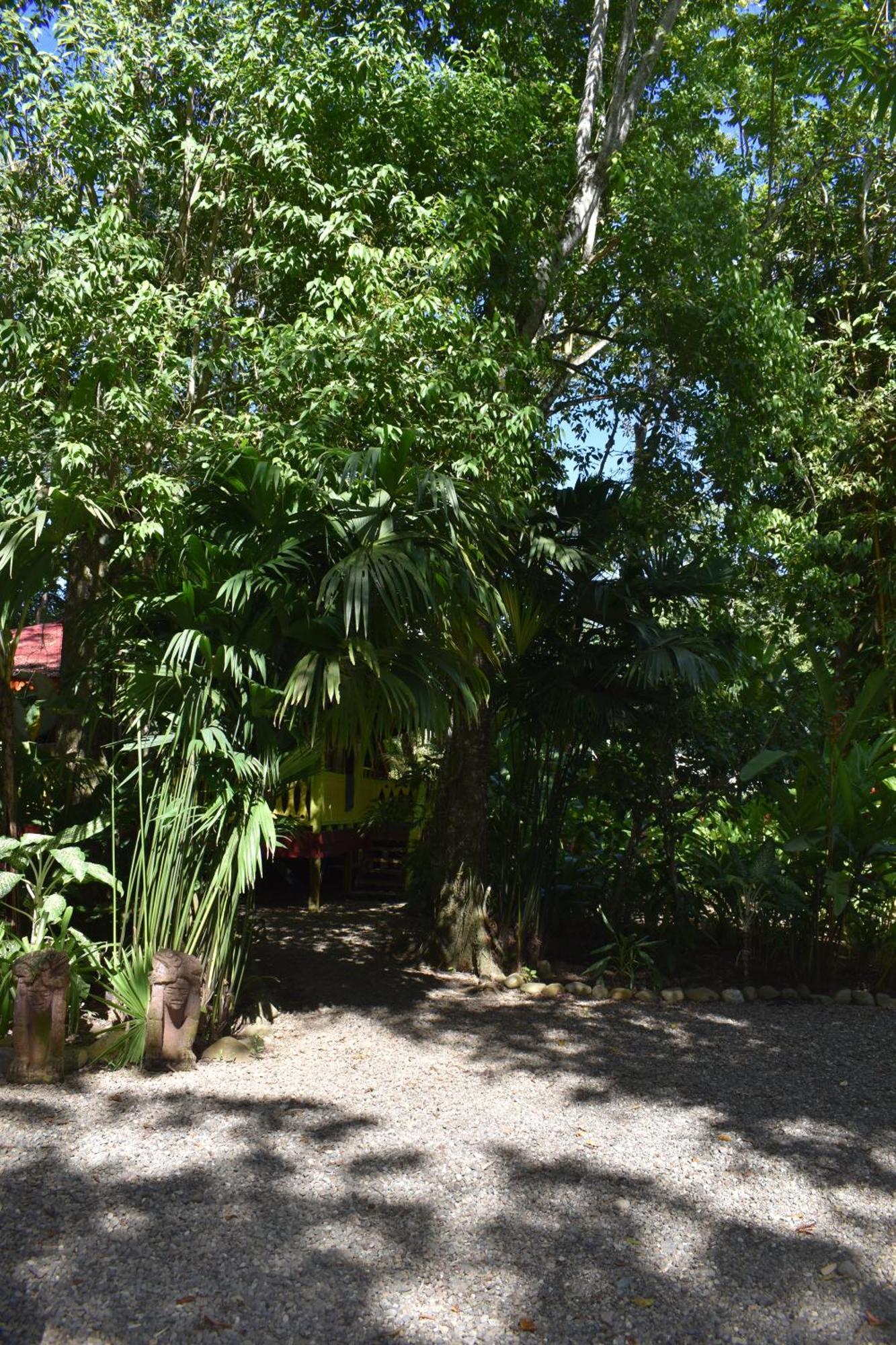 El Jardin De Playa Negra Villa Puerto Viejo de Talamanca Eksteriør bilde