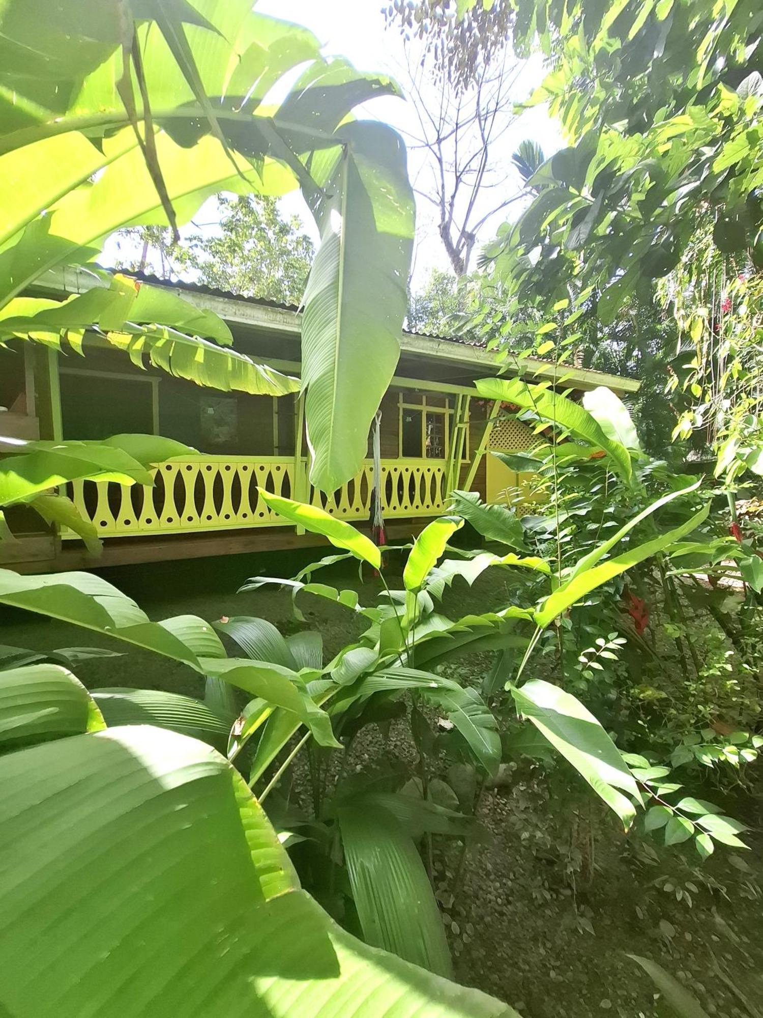 El Jardin De Playa Negra Villa Puerto Viejo de Talamanca Eksteriør bilde