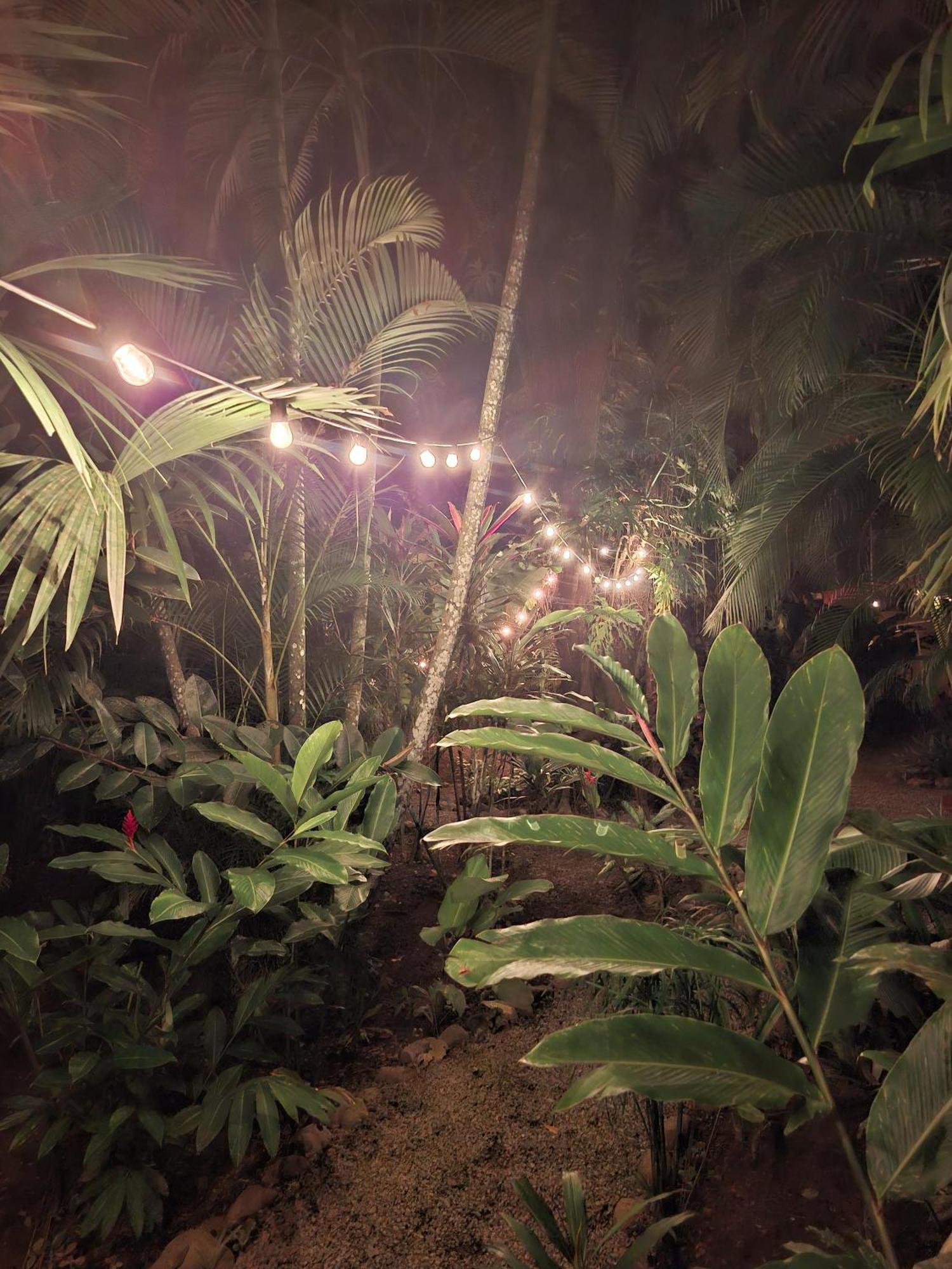 El Jardin De Playa Negra Villa Puerto Viejo de Talamanca Eksteriør bilde
