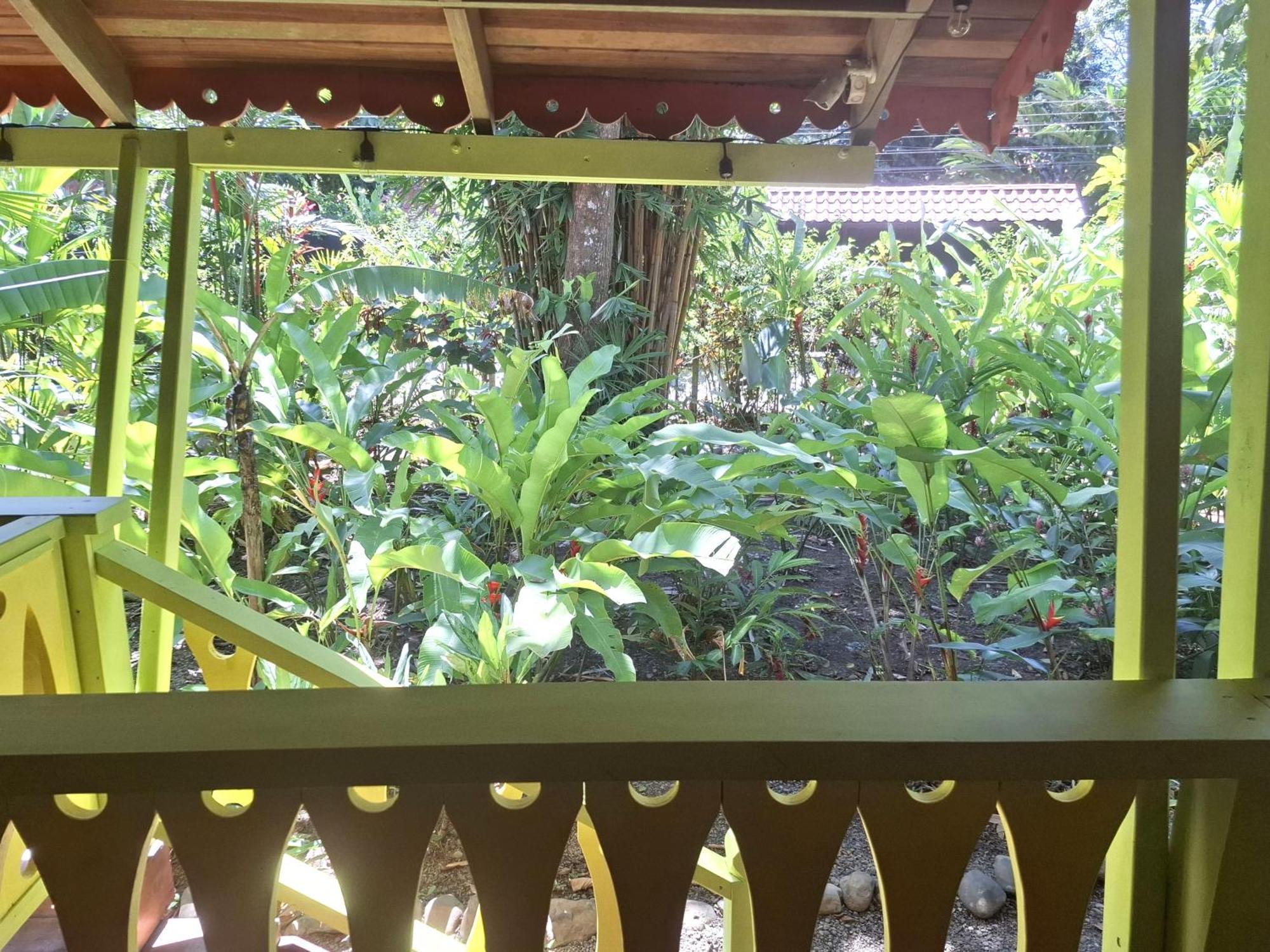El Jardin De Playa Negra Villa Puerto Viejo de Talamanca Eksteriør bilde