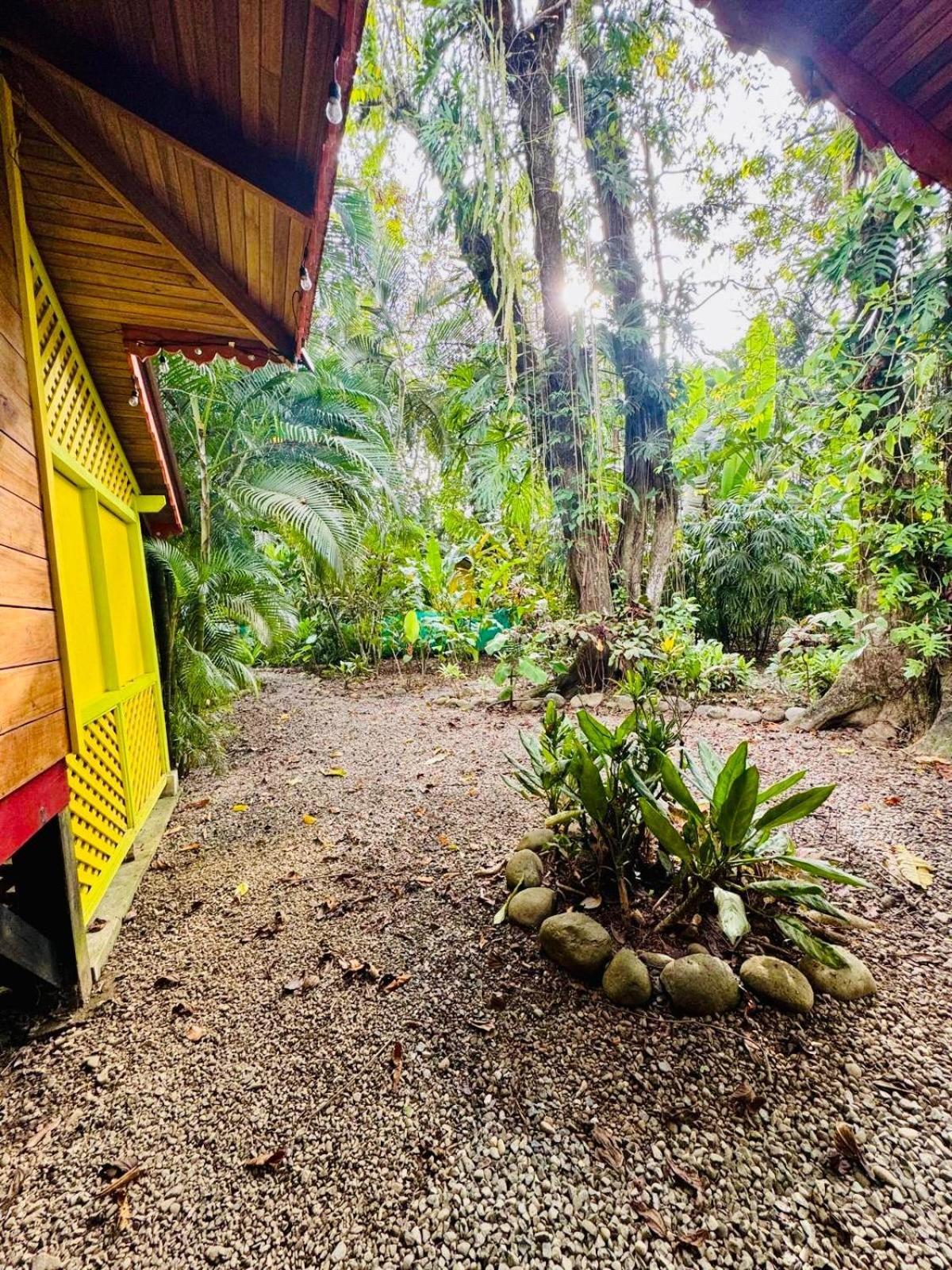 El Jardin De Playa Negra Villa Puerto Viejo de Talamanca Eksteriør bilde