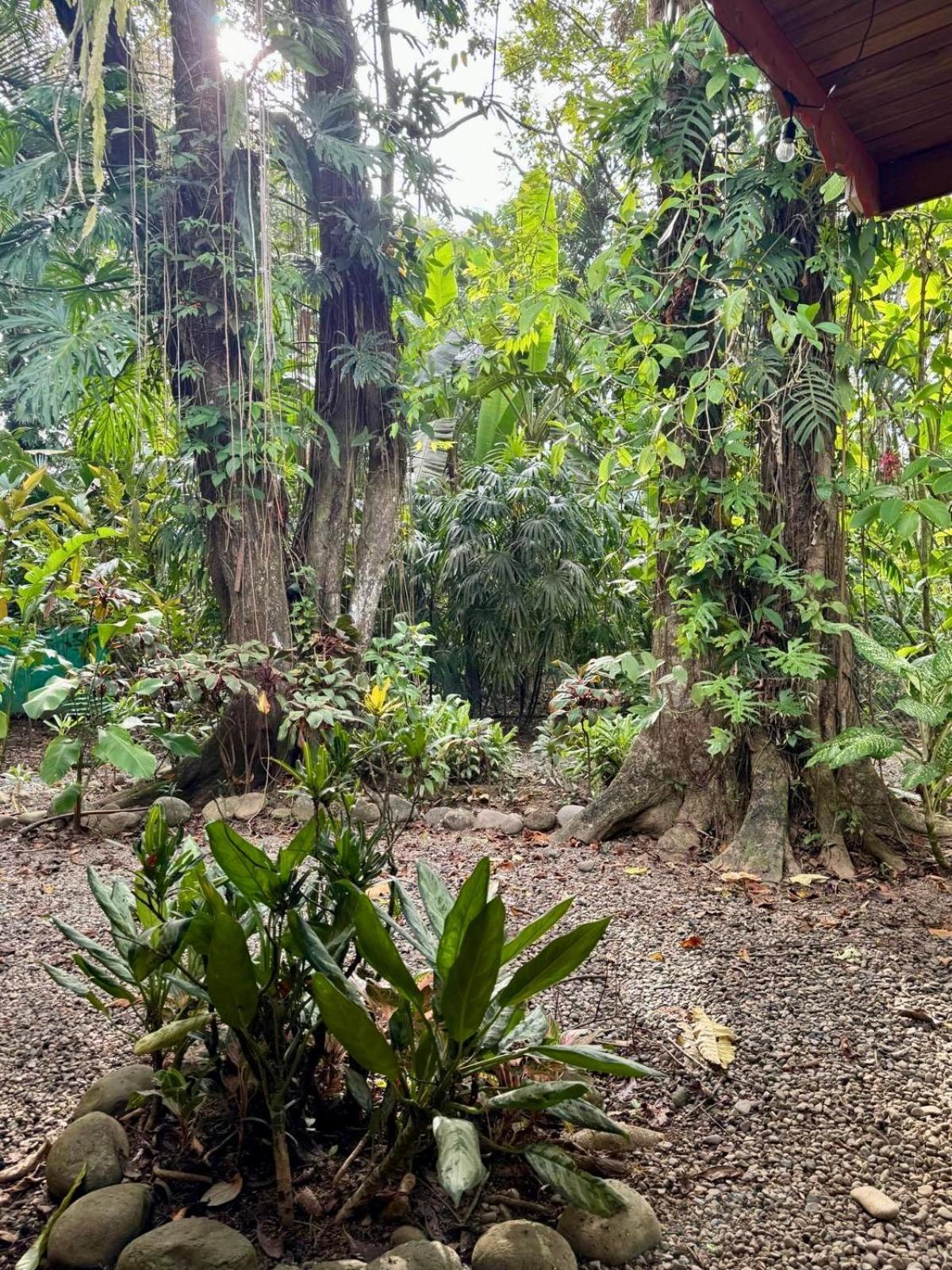 El Jardin De Playa Negra Villa Puerto Viejo de Talamanca Eksteriør bilde