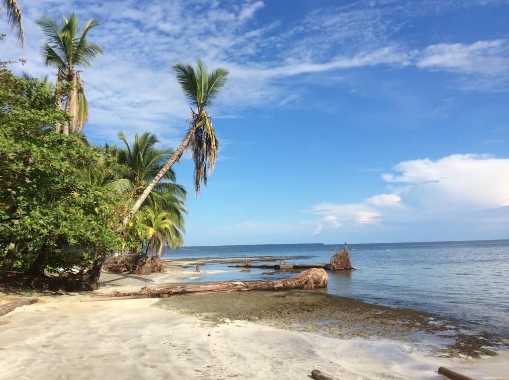 El Jardin De Playa Negra Villa Puerto Viejo de Talamanca Eksteriør bilde
