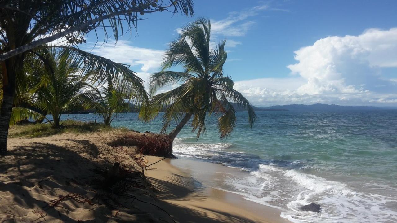 El Jardin De Playa Negra Villa Puerto Viejo de Talamanca Eksteriør bilde