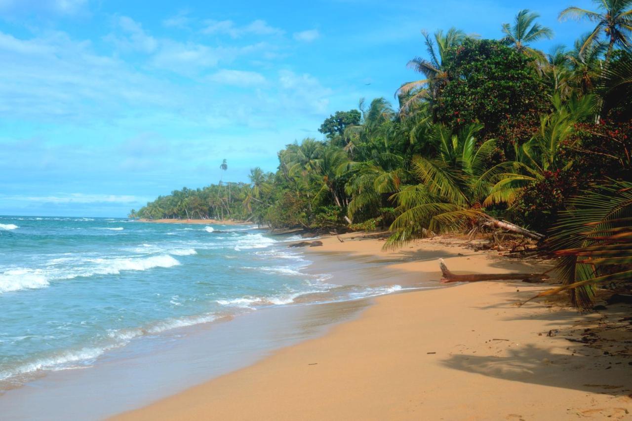 El Jardin De Playa Negra Villa Puerto Viejo de Talamanca Eksteriør bilde